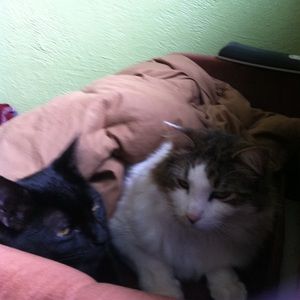 Meet your Posher, Sandra